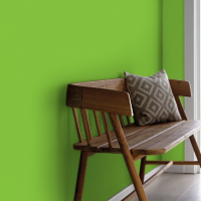 Краска Aeterna Architectural Colours 27. GREEN OVAL TABLE™. Сергей Малахов, Евгения Репина