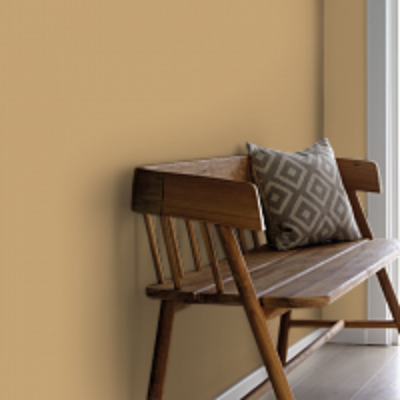 Краска Argile цвет Ocre Havane T243 
