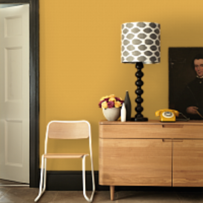 Краска Argile цвет Terre Jaune T633 