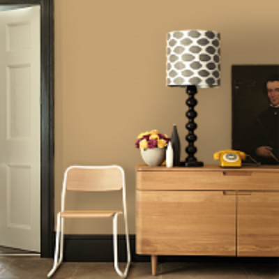 Краска Argile цвет Ocre Havane T243 