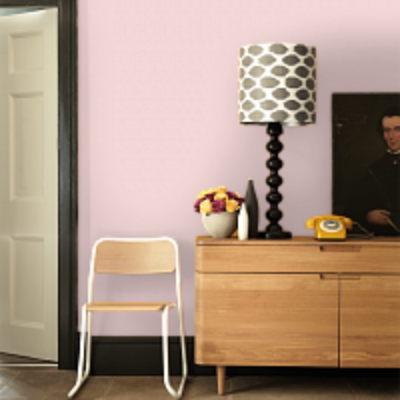 Краска Aeterna Architectural Colours 10. ЧАЙНАЯ РОЗА™