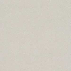 479430 Обои Rasch (Allegretto) (1*12) 10,05x0,53 винил на флизелине
