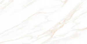MOG102 60x120x9 Полир. (Керамический гранит) 46,08 м2