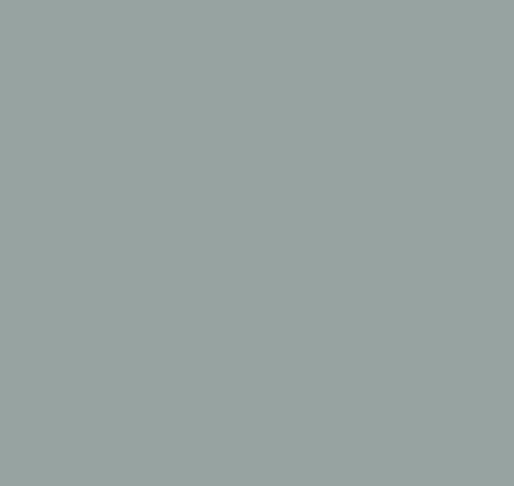 Краска Aeterna Architectural Colours 41. БРОНЗОВАЯ ПАТИНА