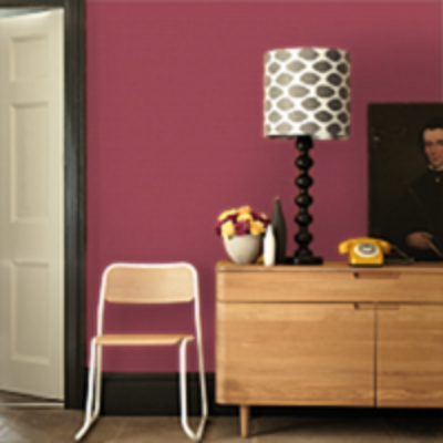 Краска Sanderson цвет Wild Plum 