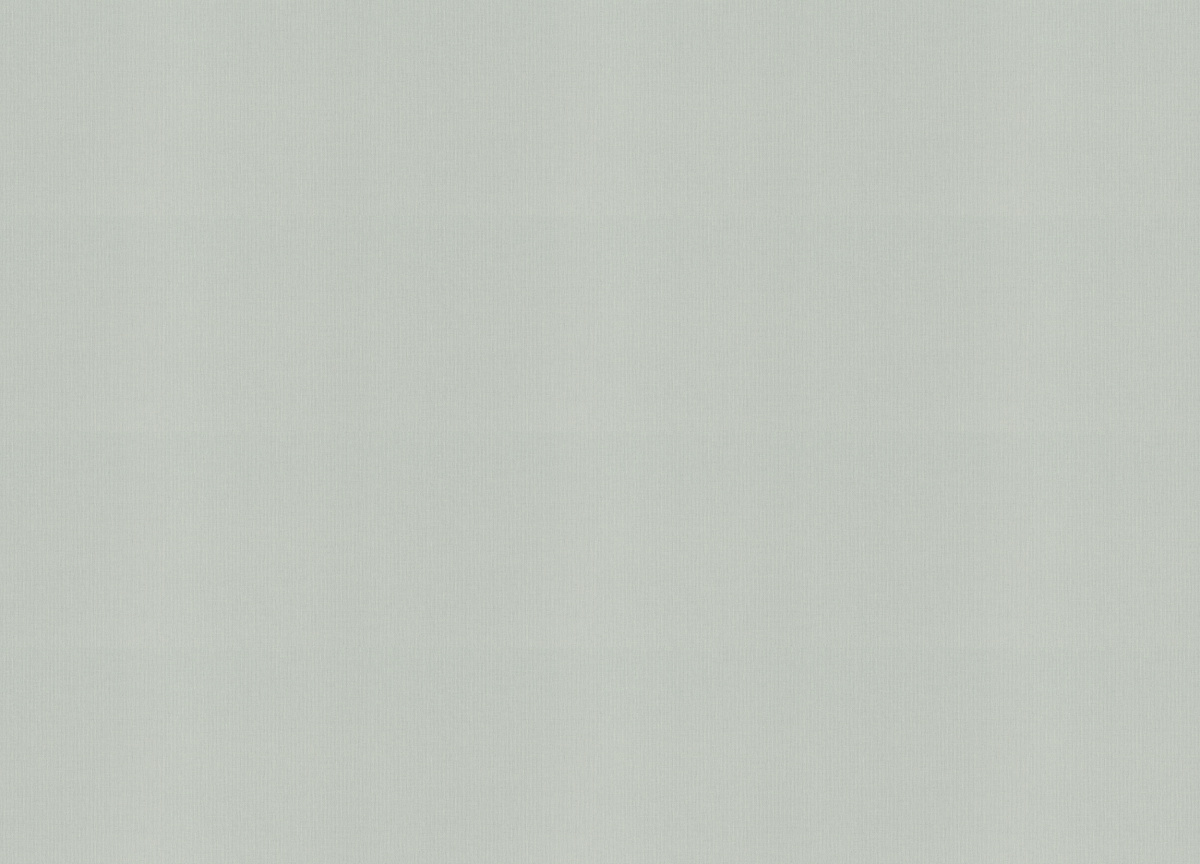 960792 Обои Rasch (Novella) (1*6) 10,05x1,06 винил на флизелине