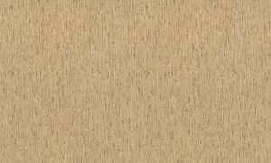 820522 Обои Rasch (Florentine Incanto) (1*6) 10,05x1,06 винил на флизелине
