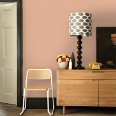 Краска Argile вет Rose Turc T423