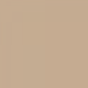 Краска Hygge цвет Pine Strain HG03-021  