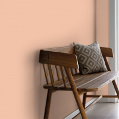 Краска Argile цвет Rose Des Sables T434 