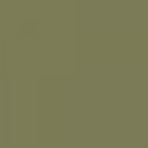 Краска Little Greene цвет NCS S 5020-G70Y Absolute Matt 0.25 л