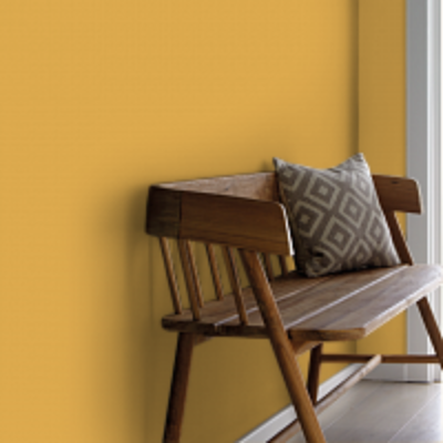 Краска Argile цвет Terre Jaune T633 