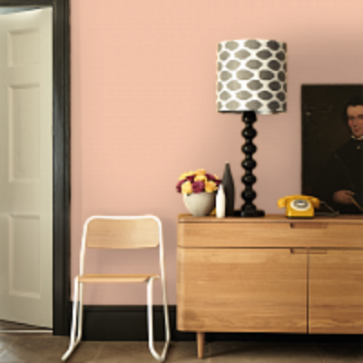 Краска Argile цвет Rose Des Sables T434 