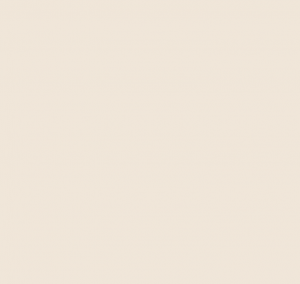 Краска Paint & Paper Library  292, POWDER II