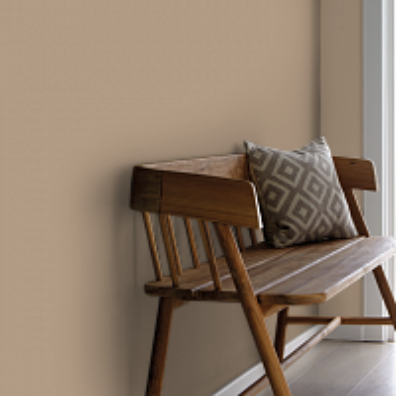 Краска Paint & Paper Library  297, MINK