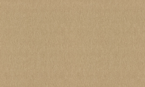 978469 Обои Rasch (Florentine Incanto) (1*6) 10,05x1,06 винил на флизелине