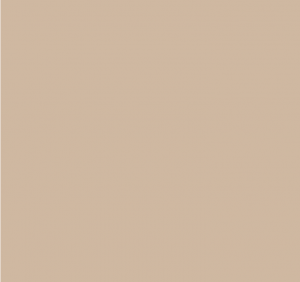 Краска Paint & Paper Library  295, POWDER V